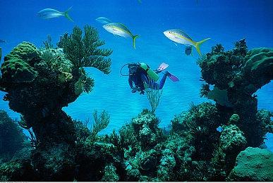 官方确认《刺客信条:幻景》免费DLC将含全新奖杯列表